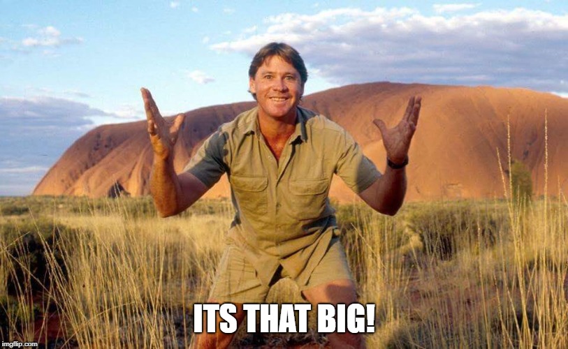 Steve Irwin Crocodile Hunter  | ITS THAT BIG! | image tagged in steve irwin crocodile hunter | made w/ Imgflip meme maker