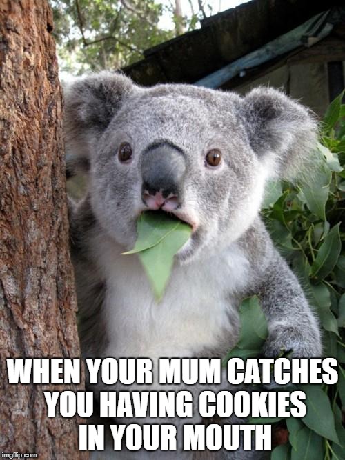 Surprised Koala | WHEN YOUR MUM CATCHES YOU HAVING COOKIES IN YOUR MOUTH | image tagged in memes,surprised koala | made w/ Imgflip meme maker