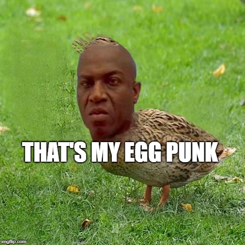 Who else? Who else want some of Deebo Duck? Made him quack I make you quack too! | THAT'S MY EGG PUNK | image tagged in deebo duck - coolbullshit,gobble gobble shit,quack quack mofos,fools memes day | made w/ Imgflip meme maker