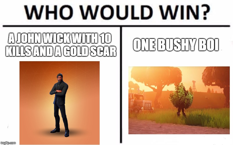 Who Would Win? Meme | A JOHN WICK WITH 10 KILLS AND A GOLD SCAR; ONE BUSHY BOI | image tagged in memes,who would win | made w/ Imgflip meme maker