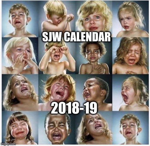 SJW calendar  | SJW CALENDAR; 2018-19 | image tagged in babies crying | made w/ Imgflip meme maker