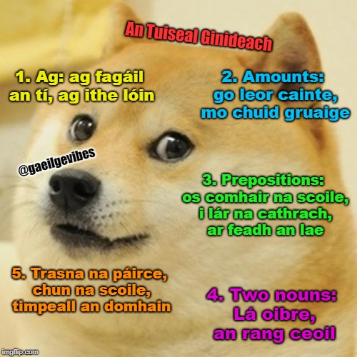 Doge Meme - Imgflip