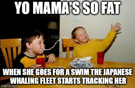 Yo Mamas So Fat | YO MAMA'S SO FAT; WHEN SHE GOES FOR A SWIM THE JAPANESE WHALING FLEET STARTS TRACKING HER | image tagged in memes,yo mamas so fat | made w/ Imgflip meme maker