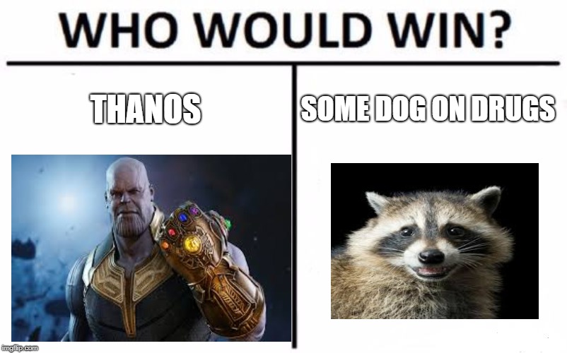 Who Would Win? Meme | THANOS; SOME DOG ON DRUGS | image tagged in memes,who would win | made w/ Imgflip meme maker