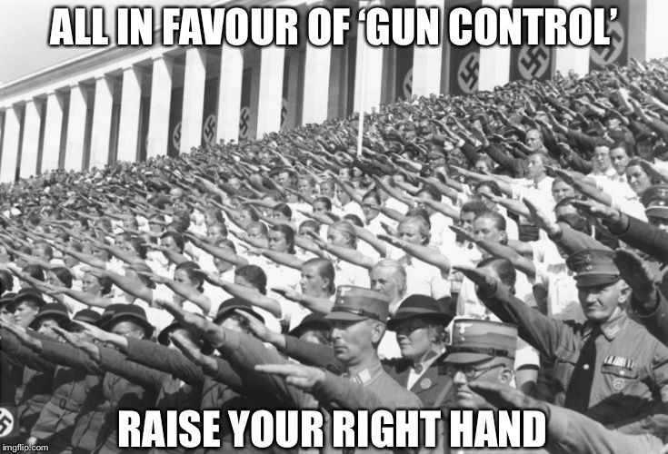 Liberals | ALL IN FAVOUR OF ‘GUN CONTROL’; RAISE YOUR RIGHT HAND | image tagged in nazis salute lots | made w/ Imgflip meme maker