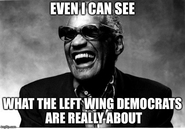 Ray Charles | EVEN I CAN SEE; WHAT THE LEFT WING DEMOCRATS ARE REALLY ABOUT | image tagged in ray charles | made w/ Imgflip meme maker