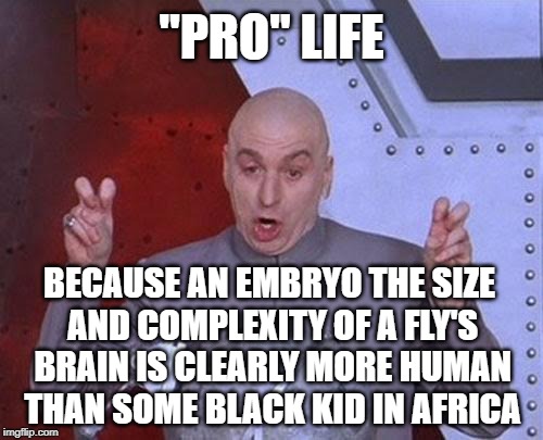Dr Evil Abortion Laser | "PRO" LIFE; BECAUSE AN EMBRYO THE SIZE AND COMPLEXITY OF A FLY'S BRAIN IS CLEARLY MORE HUMAN THAN SOME BLACK KID IN AFRICA | image tagged in memes,dr evil laser,black kid,pro life,abortion,pro choice | made w/ Imgflip meme maker