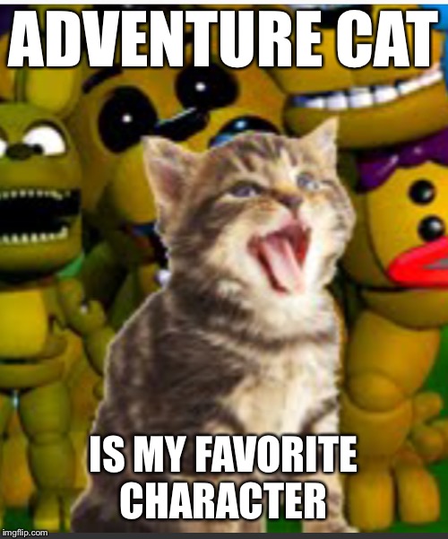 ADVENTURE CAT; IS MY FAVORITE CHARACTER | image tagged in adventure cat | made w/ Imgflip meme maker