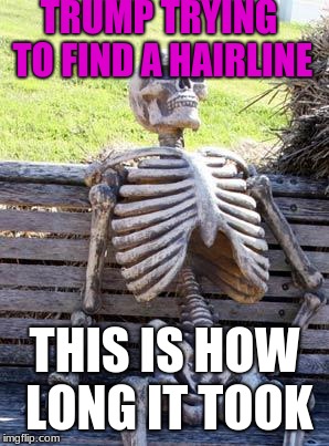 Waiting Skeleton | TRUMP TRYING TO FIND A HAIRLINE; THIS IS HOW LONG IT TOOK | image tagged in memes,waiting skeleton | made w/ Imgflip meme maker