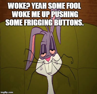 WOKE? YEAH SOME FOOL WOKE ME UP PUSHING SOME FRIGGING BUTTONS. | made w/ Imgflip meme maker