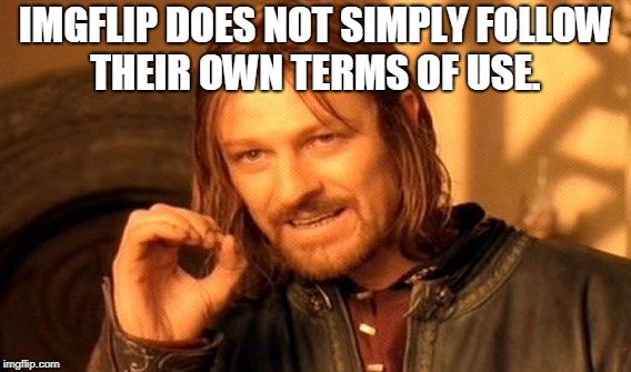 One Does Not Simply Meme | IMGFLIP DOES NOT SIMPLY FOLLOW THEIR OWN TERMS OF USE. | image tagged in memes,one does not simply | made w/ Imgflip meme maker