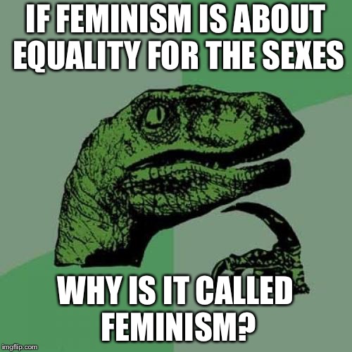 Philosoraptor Meme | IF FEMINISM IS ABOUT EQUALITY FOR THE SEXES; WHY IS IT CALLED FEMINISM? | image tagged in memes,philosoraptor | made w/ Imgflip meme maker