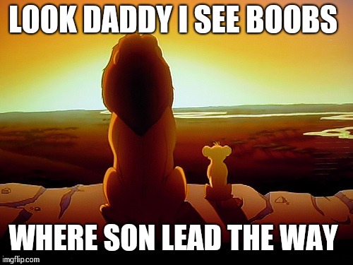 Lion King | LOOK DADDY I SEE BOOBS; WHERE SON LEAD THE WAY | image tagged in memes,lion king | made w/ Imgflip meme maker