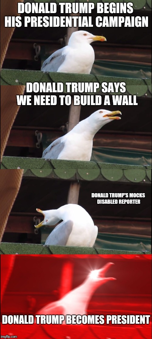 Inhaling Seagull | DONALD TRUMP BEGINS HIS PRESIDENTIAL CAMPAIGN; DONALD TRUMP SAYS WE NEED TO BUILD A WALL; DONALD TRUMP'S MOCKS DISABLED REPORTER; DONALD TRUMP BECOMES PRESIDENT | image tagged in memes,inhaling seagull | made w/ Imgflip meme maker
