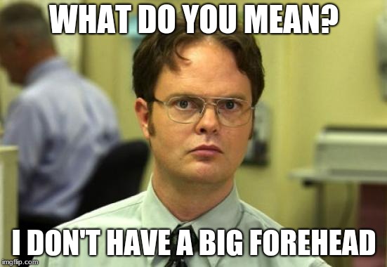 Dwight Schrute Meme | WHAT DO YOU MEAN? I DON'T HAVE A BIG FOREHEAD | image tagged in memes,dwight schrute | made w/ Imgflip meme maker
