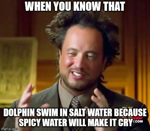 Scientist be like | WHEN YOU KNOW THAT; DOLPHIN SWIM IN SALT WATER BECAUSE SPICY WATER WILL MAKE IT CRY | image tagged in memes,bad jokes,dumb joke dolphin | made w/ Imgflip meme maker