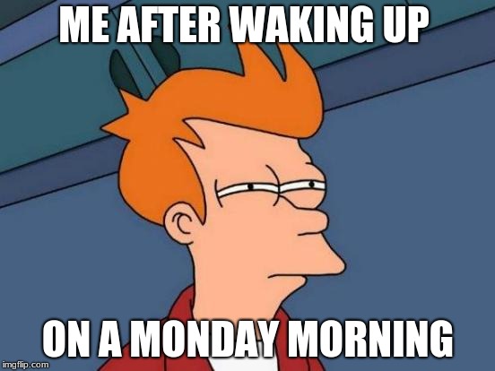 Futurama Fry Meme | ME AFTER WAKING UP; ON A MONDAY MORNING | image tagged in memes,futurama fry | made w/ Imgflip meme maker