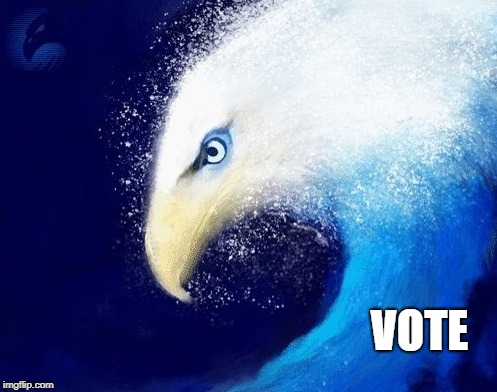  VOTE | image tagged in blue wave,blue eagle wave,vote | made w/ Imgflip meme maker