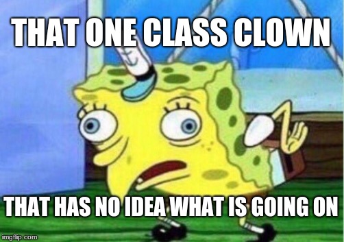 Mocking Spongebob | THAT ONE CLASS CLOWN; THAT HAS NO IDEA WHAT IS GOING ON | image tagged in memes,mocking spongebob | made w/ Imgflip meme maker