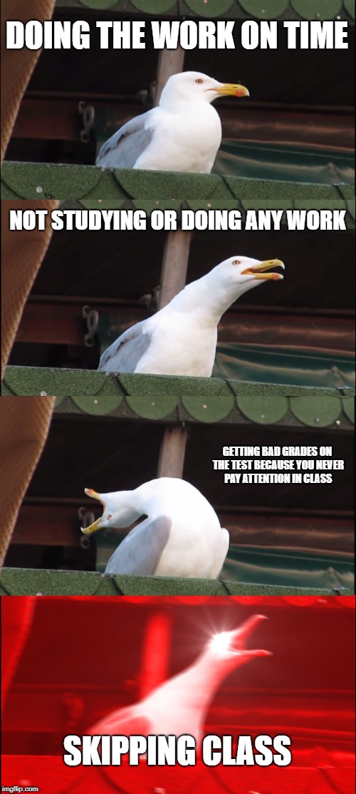 Inhaling Seagull Meme | DOING THE WORK ON TIME; NOT STUDYING OR DOING ANY WORK; GETTING BAD GRADES ON THE TEST BECAUSE YOU NEVER PAY ATTENTION IN CLASS; SKIPPING CLASS | image tagged in memes,inhaling seagull | made w/ Imgflip meme maker