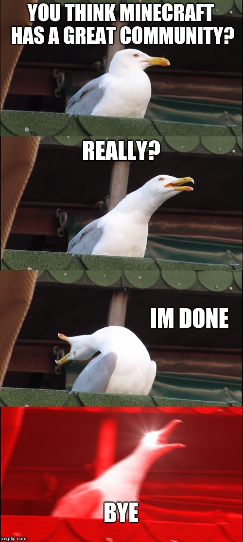 Inhaling Seagull Meme | YOU THINK MINECRAFT HAS A GREAT COMMUNITY? REALLY? IM DONE; BYE | image tagged in memes,inhaling seagull | made w/ Imgflip meme maker