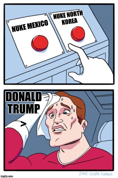 Two Buttons Meme | NUKE NORTH KOREA; NUKE MEXICO; DONALD TRUMP; > | image tagged in memes,two buttons | made w/ Imgflip meme maker