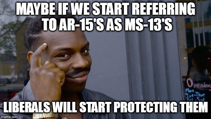 Roll Safe Think About It Meme | MAYBE IF WE START REFERRING TO AR-15'S AS MS-13'S; LIBERALS WILL START PROTECTING THEM | image tagged in memes,roll safe think about it,liberal logic,liberals,college liberal,liberal hypocrisy | made w/ Imgflip meme maker