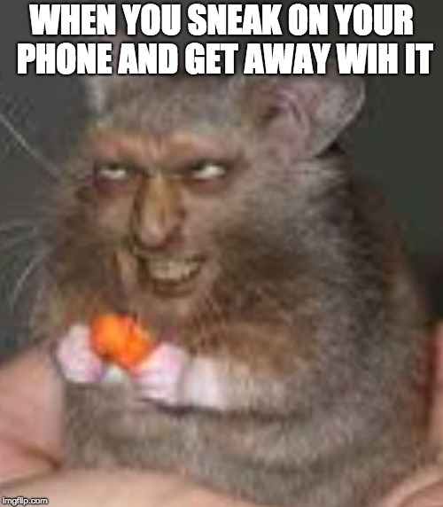ded | WHEN YOU SNEAK ON YOUR PHONE AND GET AWAY WIH IT | image tagged in ded | made w/ Imgflip meme maker