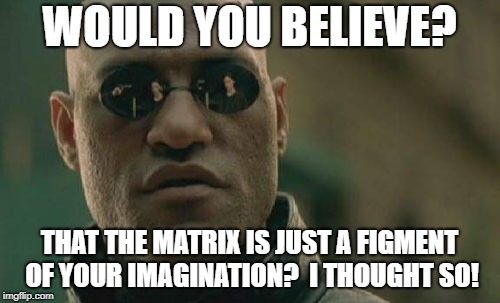 Matrix Morpheus Meme | WOULD YOU BELIEVE? THAT THE MATRIX IS JUST A FIGMENT OF YOUR IMAGINATION?  I THOUGHT SO! | image tagged in memes,matrix morpheus | made w/ Imgflip meme maker