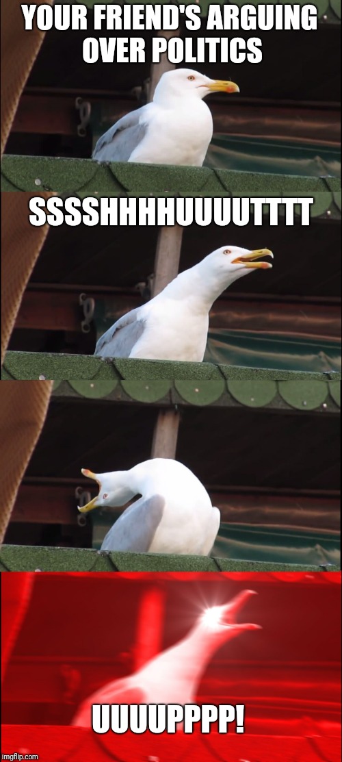 Inhaling Seagull Meme | YOUR FRIEND'S ARGUING OVER POLITICS; SSSSHHHHUUUUTTTT; UUUUPPPP! | image tagged in memes,inhaling seagull | made w/ Imgflip meme maker