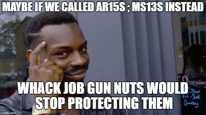 Roll Safe Think About It Meme | MAYBE IF WE CALLED AR15S ; MS13S INSTEAD WHACK JOB GUN NUTS WOULD STOP PROTECTING THEM | image tagged in memes,roll safe think about it | made w/ Imgflip meme maker