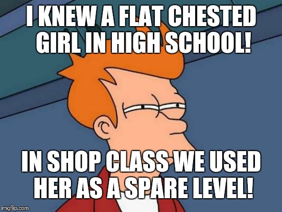 Futurama Fry Meme | I KNEW A FLAT CHESTED GIRL IN HIGH SCHOOL! IN SHOP CLASS WE USED HER AS A SPARE LEVEL! | image tagged in memes,futurama fry | made w/ Imgflip meme maker