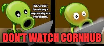 DON'T WATCH CORNHUB | image tagged in cornhub | made w/ Imgflip meme maker