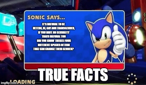 Sonic Says | IT'S NATURAL TO BE HETERO, BI, GAY AND TRANSGENDER, IF YOU HAVE NO SEXUALITY THATS NATURAL TOO DID YOU KNOW THERES FOUR DIFFERENT SPECIES OF FISH THAT CAN CHANGE THEIR GENDER? TRUE FACTS | image tagged in sonic says | made w/ Imgflip meme maker