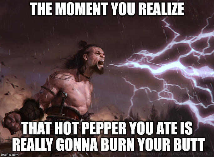 Hmm, I just had a jar of curry sauce given to me... | THE MOMENT YOU REALIZE; THAT HOT PEPPER YOU ATE IS REALLY GONNA BURN YOUR BUTT | image tagged in hot peppers,reaction,food,spicy | made w/ Imgflip meme maker