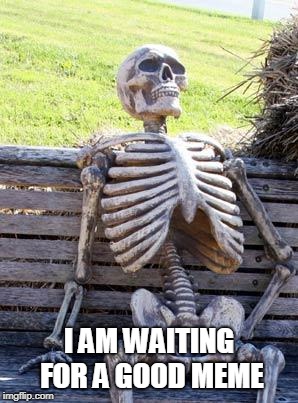 Waiting Skeleton | I AM WAITING FOR A GOOD MEME | image tagged in memes,waiting skeleton | made w/ Imgflip meme maker