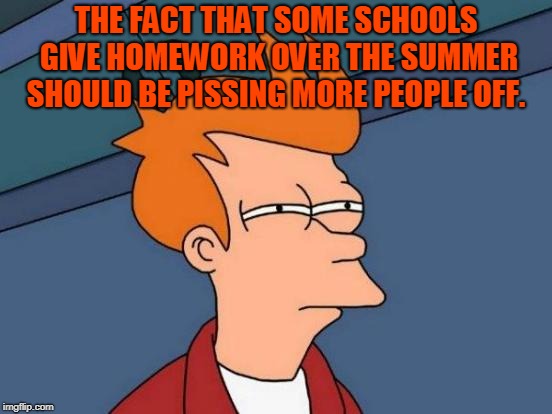 Futurama Fry Meme | THE FACT THAT SOME SCHOOLS GIVE HOMEWORK OVER THE SUMMER SHOULD BE PISSING MORE PEOPLE OFF. | image tagged in memes,futurama fry | made w/ Imgflip meme maker