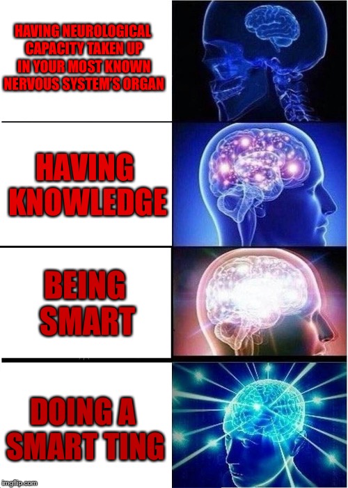 Expanding Brain | HAVING NEUROLOGICAL CAPACITY TAKEN UP IN YOUR MOST KNOWN NERVOUS SYSTEM’S ORGAN; HAVING KNOWLEDGE; BEING SMART; DOING A SMART TING | image tagged in memes,expanding brain | made w/ Imgflip meme maker