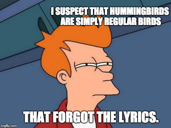 Futurama Fry Meme | I SUSPECT THAT HUMMINGBIRDS ARE SIMPLY REGULAR BIRDS; THAT FORGOT THE LYRICS. | image tagged in memes,futurama fry | made w/ Imgflip meme maker