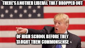 THERE'S ANOTHER LIBERAL THAT DROPPED OUT; OF HIGH SCHOOL BEFORE THEY TAUGHT THEM COMMONSENSE | image tagged in trump | made w/ Imgflip meme maker