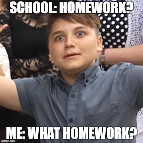 SCHOOL: HOMEWORK? ME: WHAT HOMEWORK? | image tagged in homework,school | made w/ Imgflip meme maker