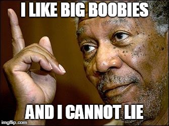 This Morgan Freeman | I LIKE BIG BOOBIES; AND I CANNOT LIE | image tagged in this morgan freeman | made w/ Imgflip meme maker