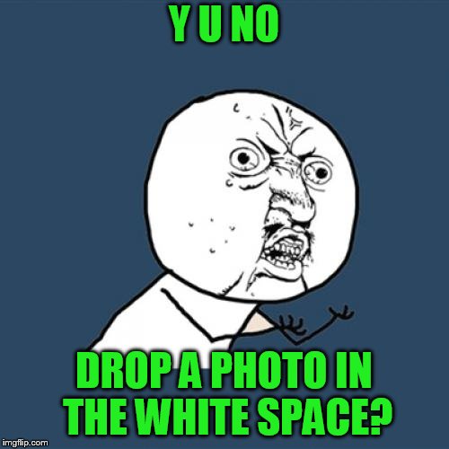 Y U No Meme | Y U NO DROP A PHOTO IN THE WHITE SPACE? | image tagged in memes,y u no | made w/ Imgflip meme maker