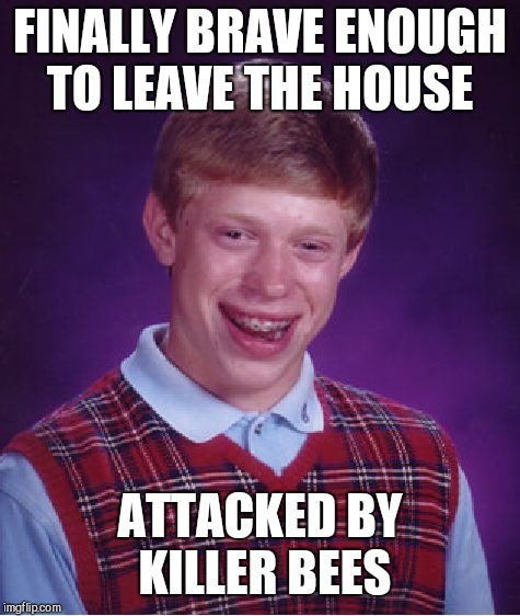 Bad Luck Brian Meme | FINALLY BRAVE ENOUGH TO LEAVE THE HOUSE; ATTACKED BY KILLER BEES | image tagged in memes,bad luck brian | made w/ Imgflip meme maker