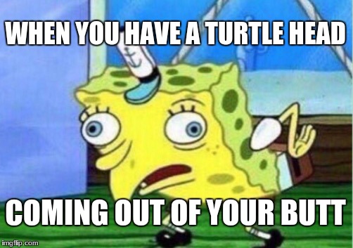 Mocking Spongebob | WHEN YOU HAVE A TURTLE HEAD; COMING OUT OF YOUR BUTT | image tagged in memes,mocking spongebob | made w/ Imgflip meme maker