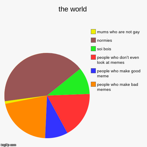 the world | people who make bad memes, people who make good meme, people who don't even look at memes, soi bois, normies, mums who are not g | image tagged in funny,pie charts | made w/ Imgflip chart maker
