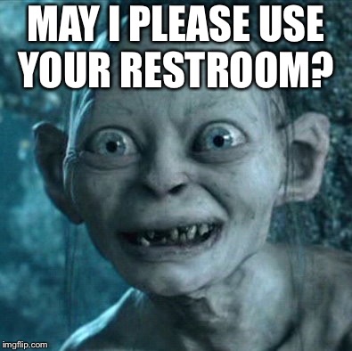 Gollum Meme | MAY I PLEASE USE YOUR RESTROOM? | image tagged in memes,gollum | made w/ Imgflip meme maker