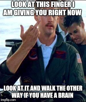 Top Gun | LOOK AT THIS FINGER I AM GIVING YOU RIGHT NOW; LOOK AT IT AND WALK THE OTHER WAY IF YOU HAVE A BRAIN | image tagged in top gun | made w/ Imgflip meme maker