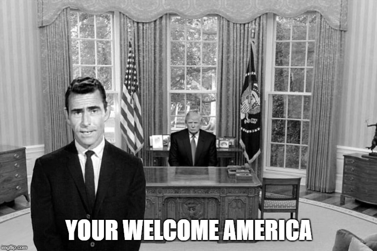 YOUR WELCOME AMERICA | image tagged in president trump,you're welcome | made w/ Imgflip meme maker