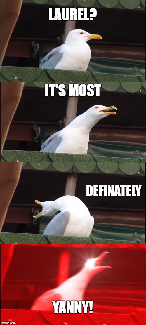 Inhaling Seagull Meme | LAUREL? IT'S MOST; DEFINATELY; YANNY! | image tagged in memes,inhaling seagull | made w/ Imgflip meme maker